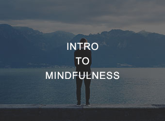 Intro to Mindfulness Mindfulness Workshop for Individuals