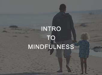 Intro to Mindfulness Mindfulness Workshop for Parents
